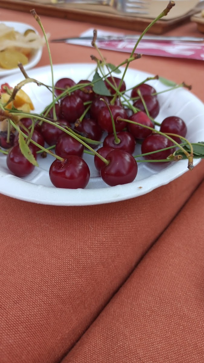 Nilda Garden Cafe Restaurant-7